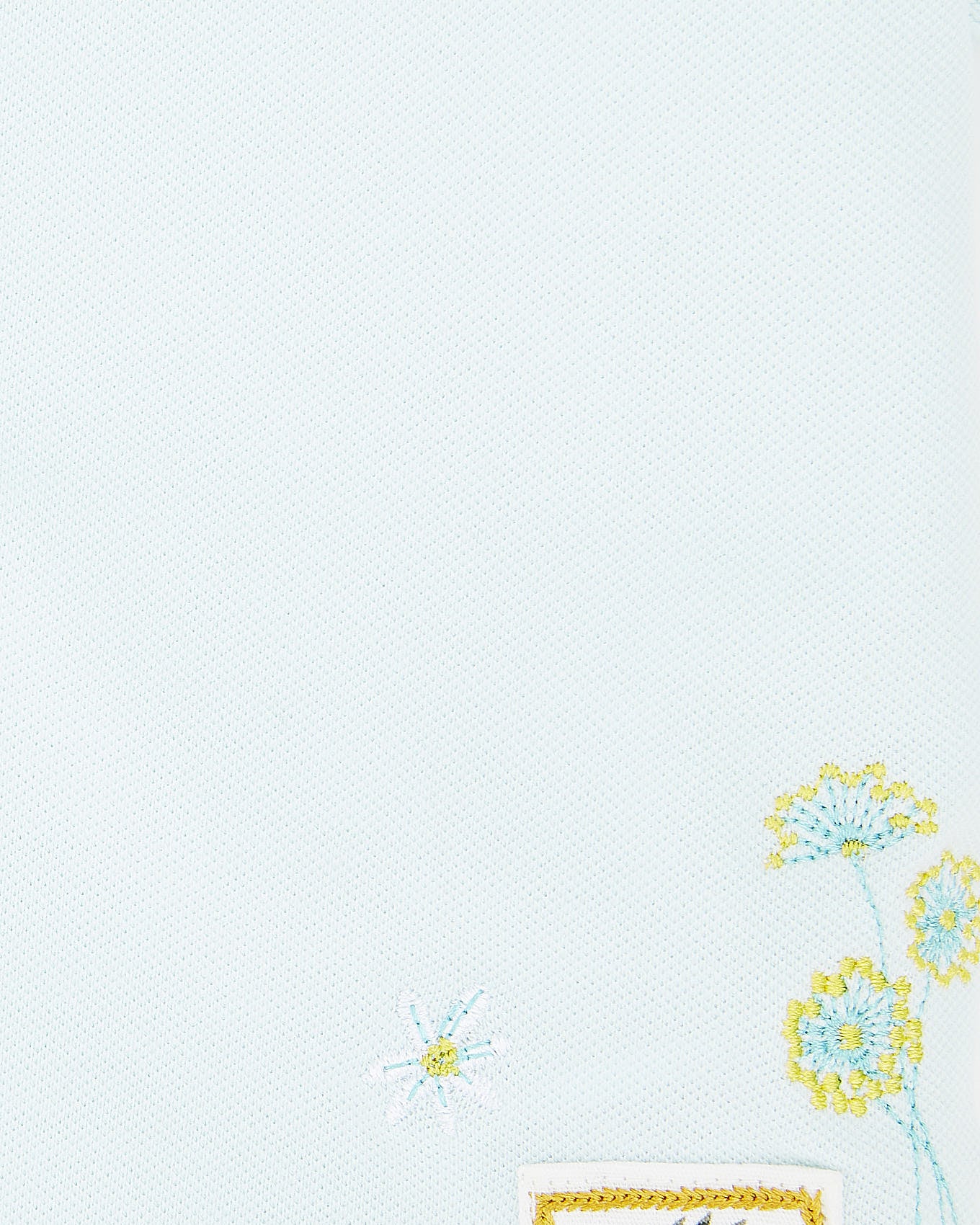 Aqua