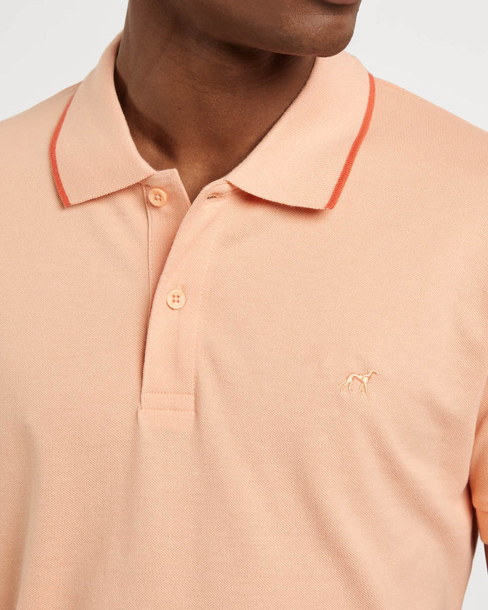 Light Orange