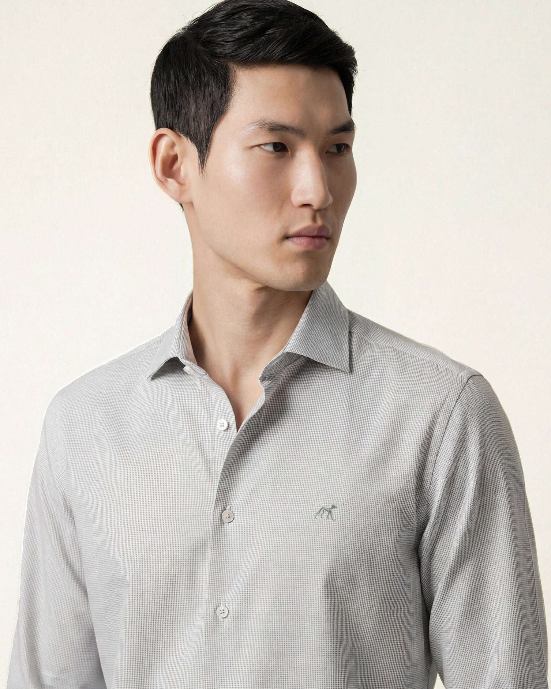 Light Grey (AI)