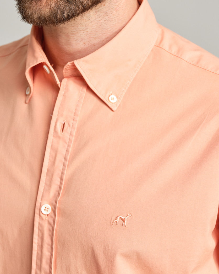 Light Orange