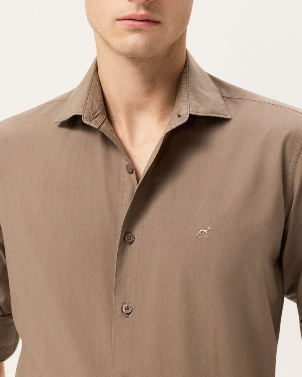 Light Brown