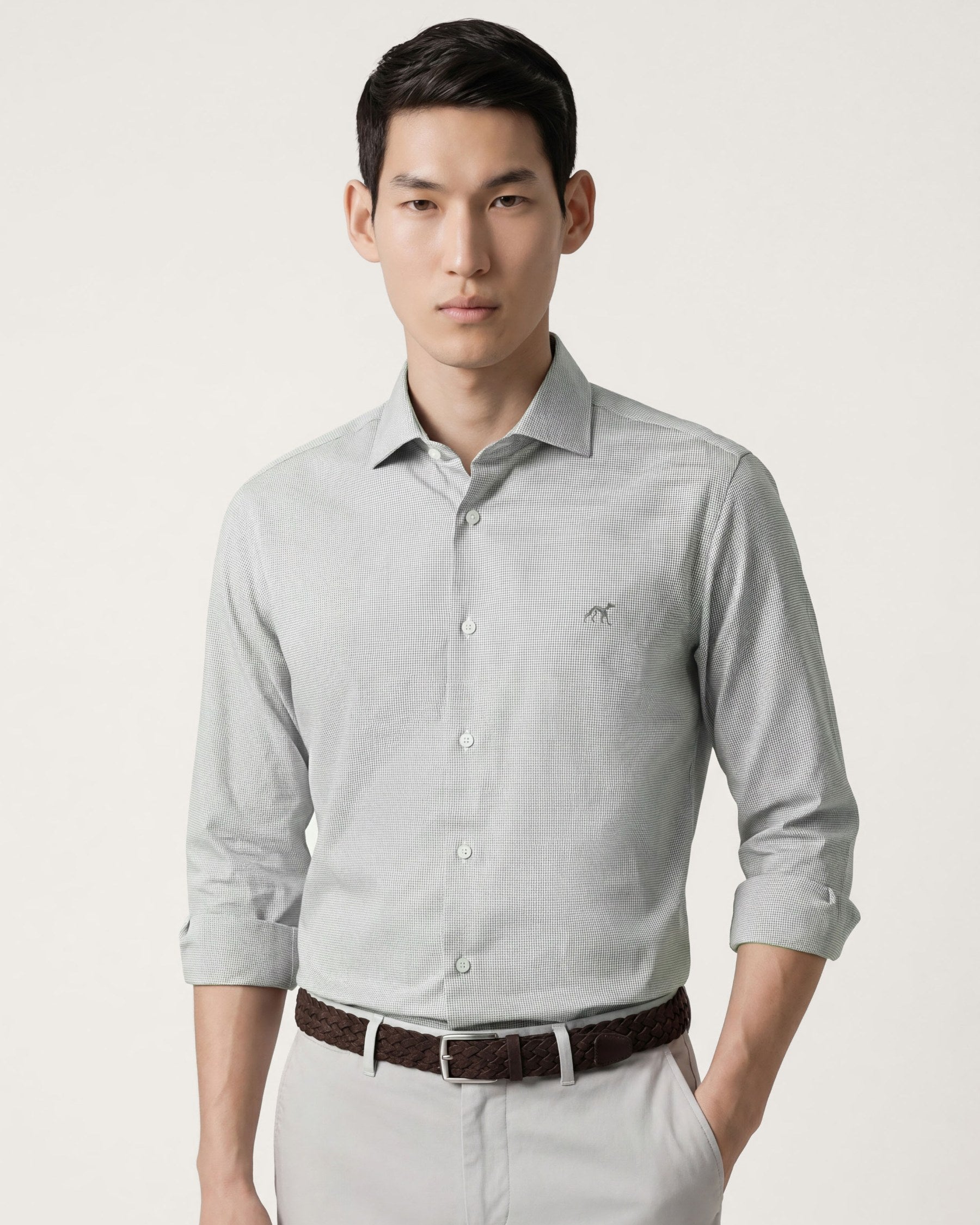 Light Grey (AI)