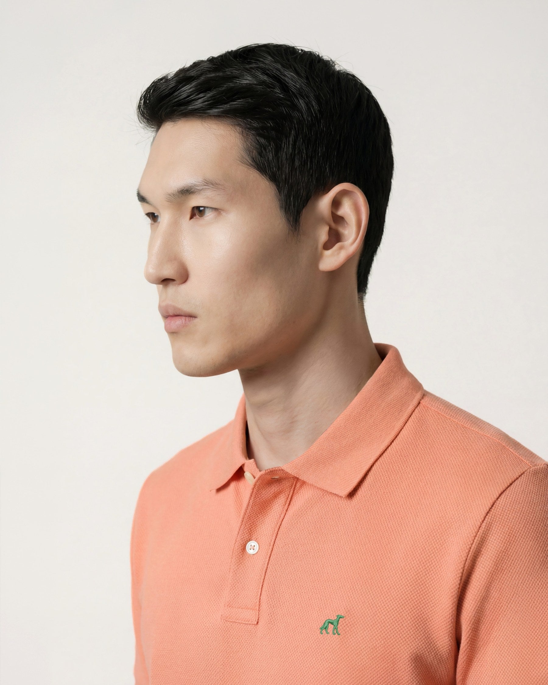 Light Orange (AI)