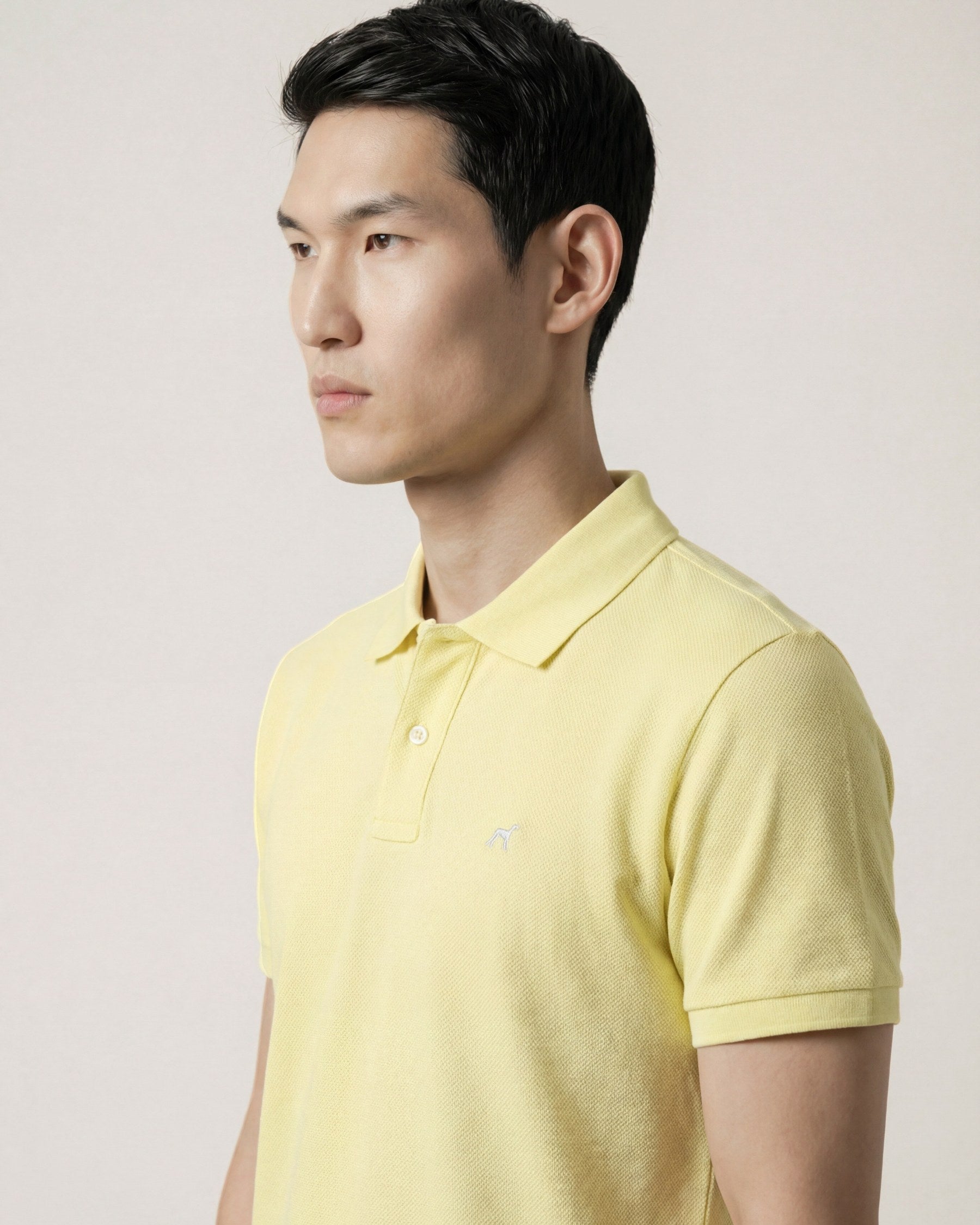 Light Yellow (AI)