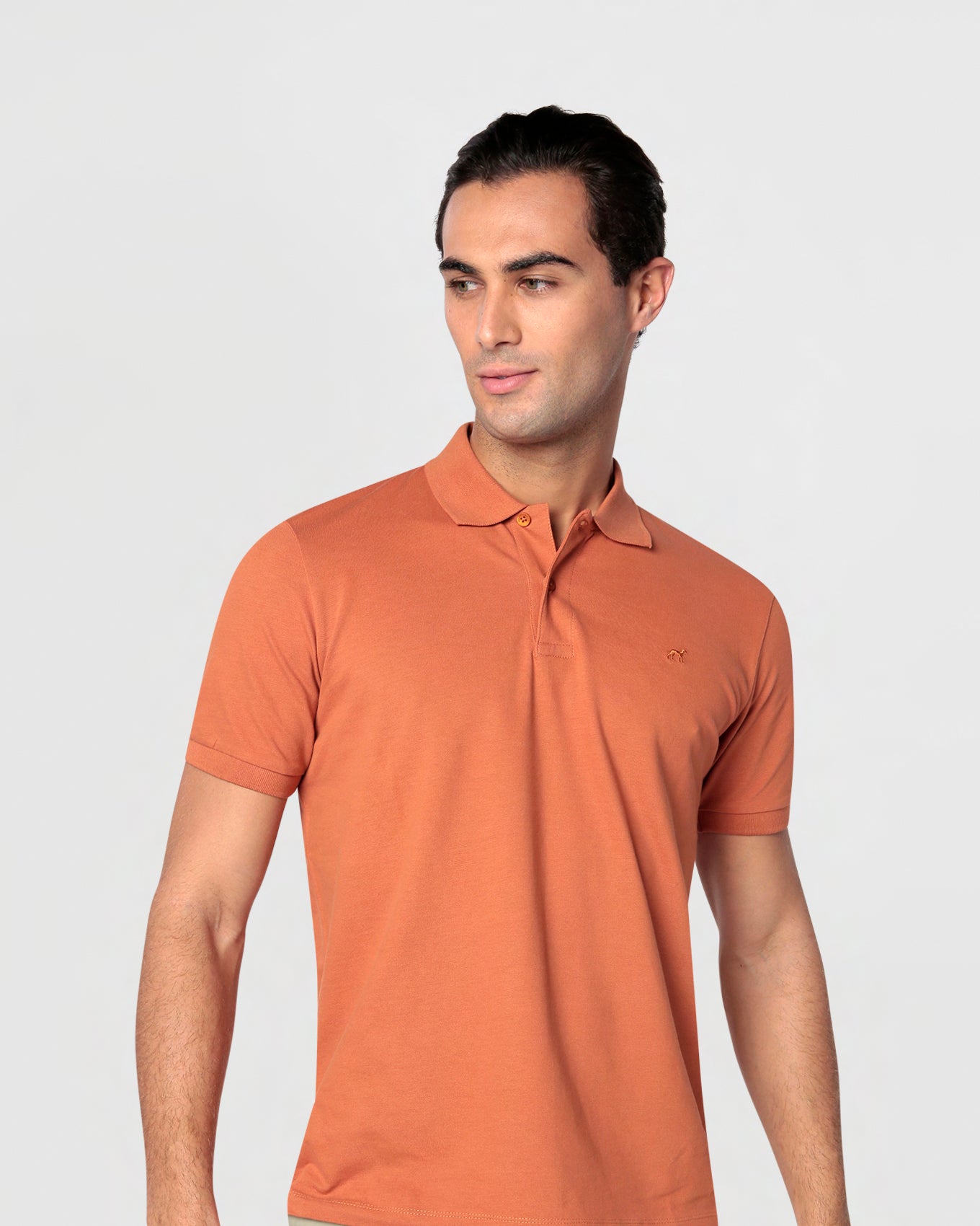 Dark Orange