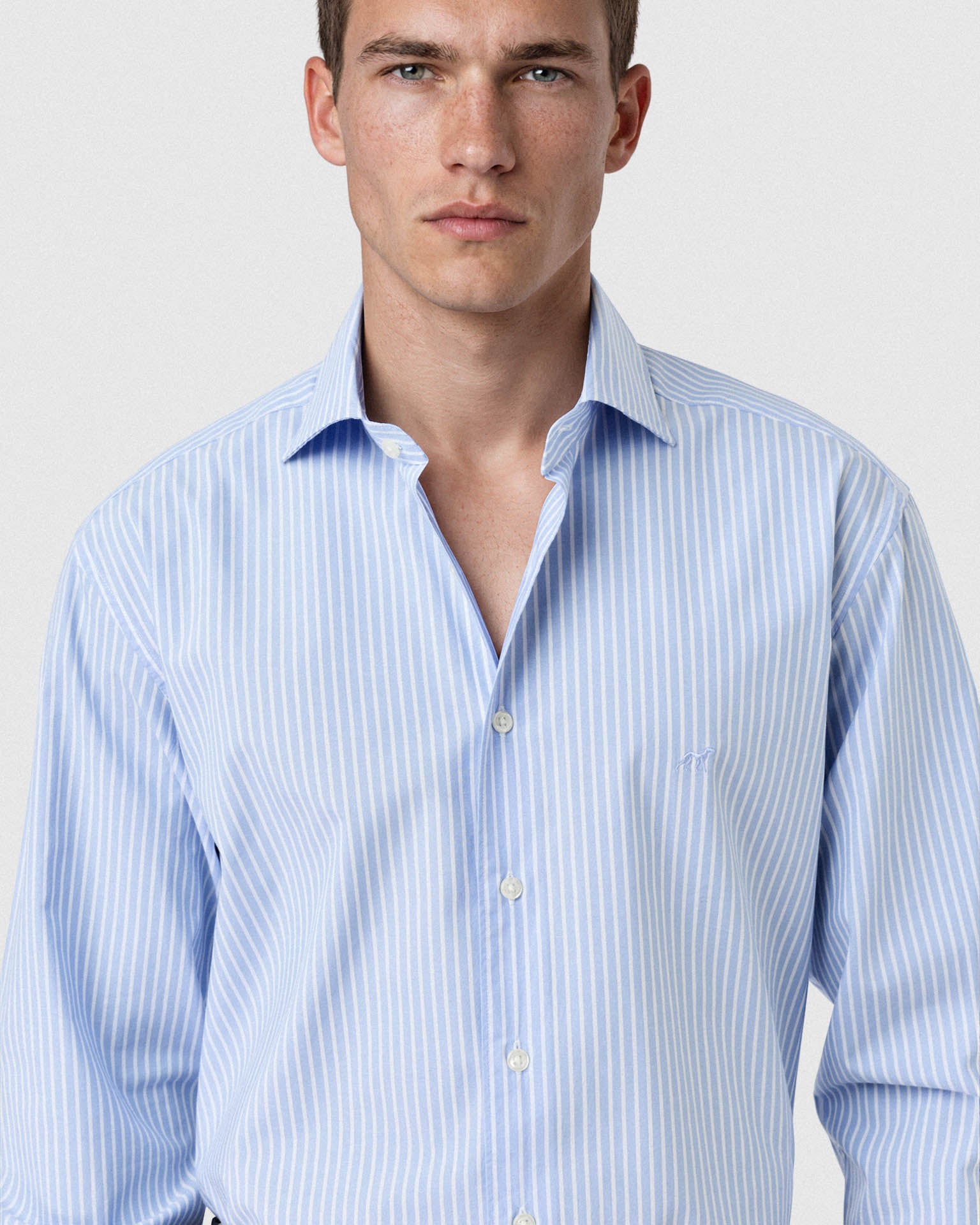 Light Blue (AI)