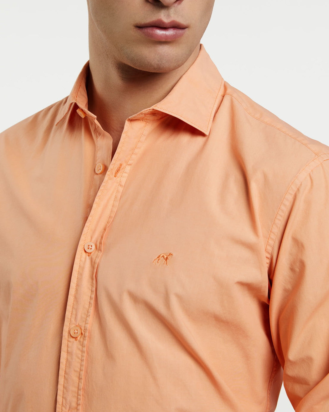 Light Orange