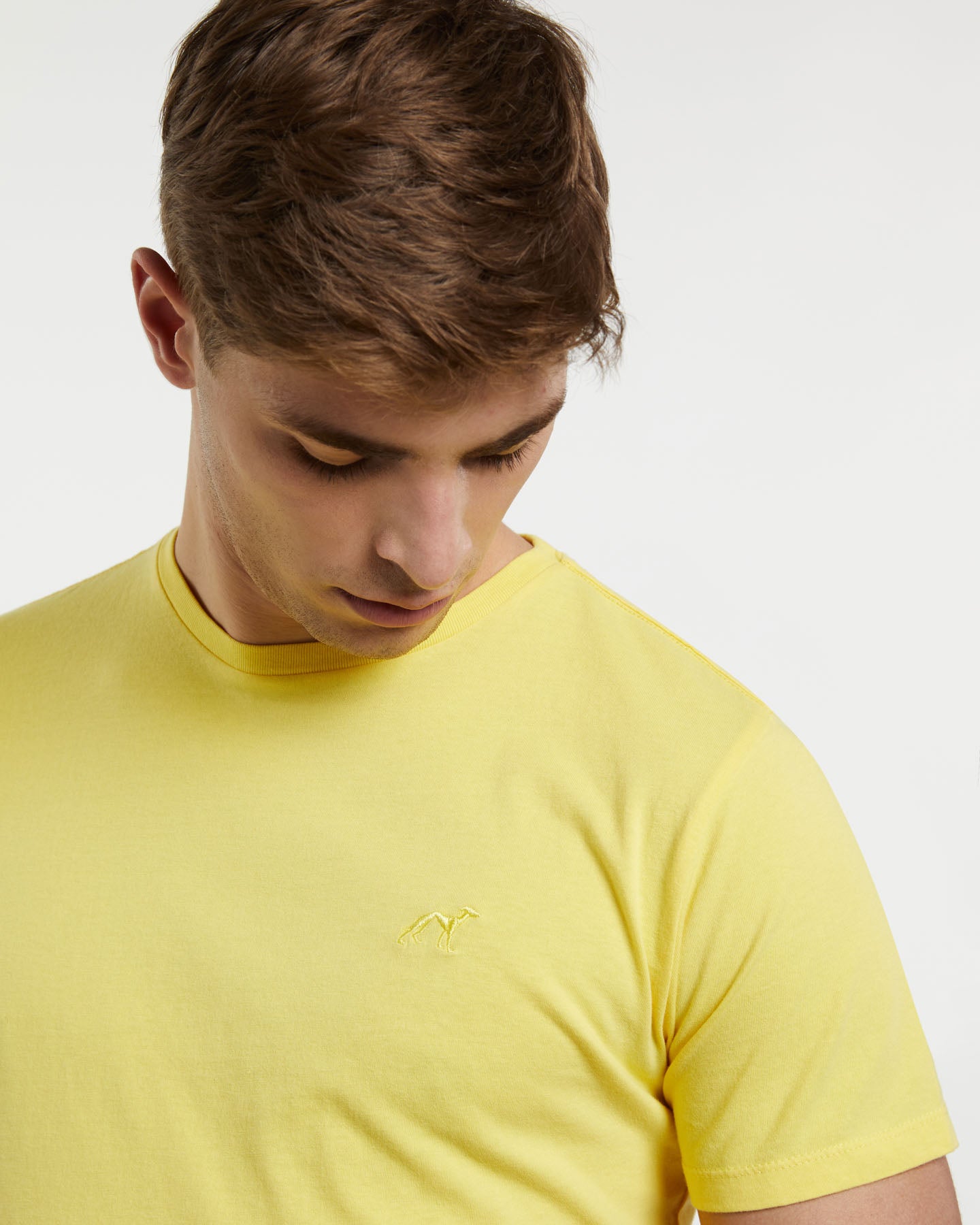 Light Yellow