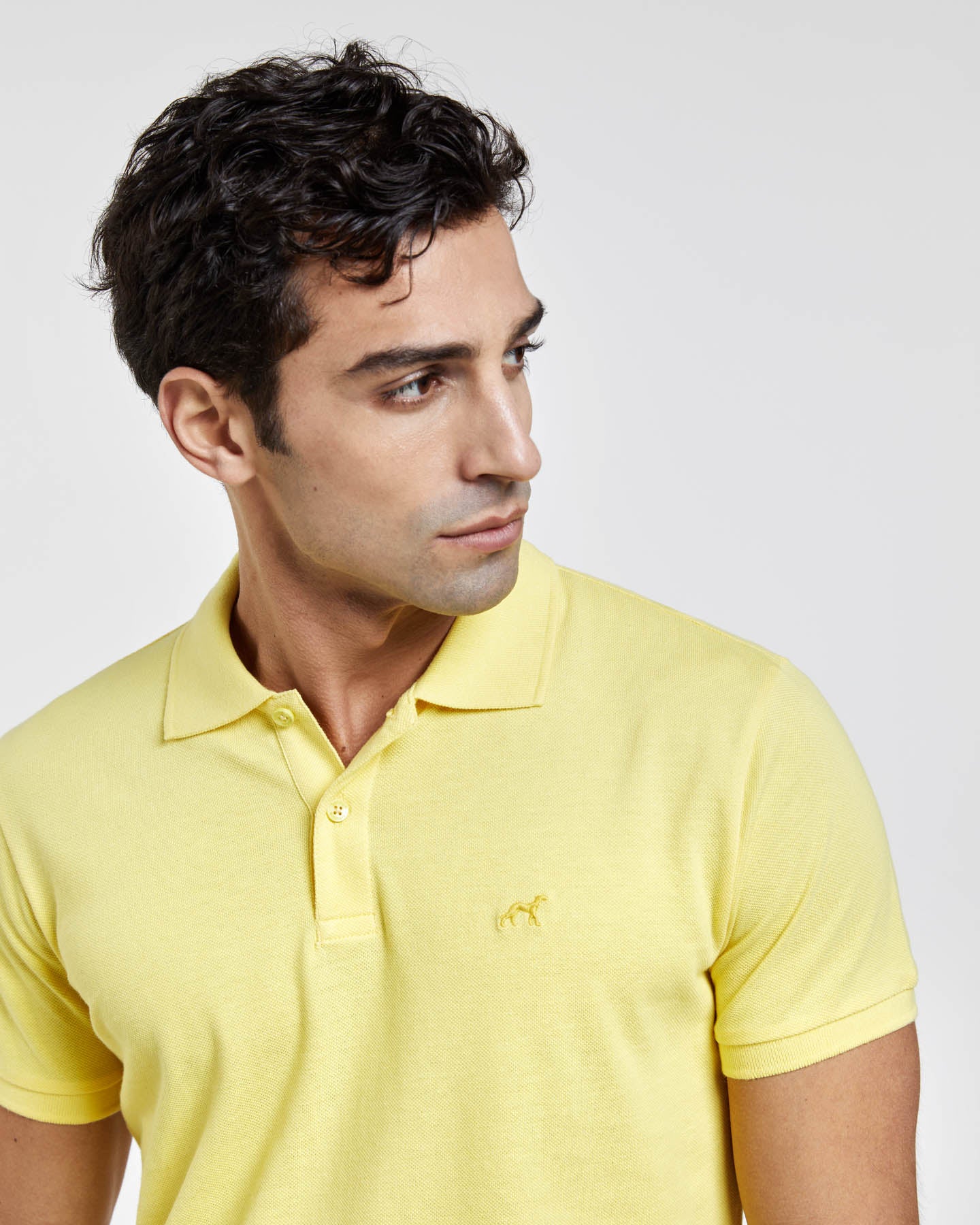 Light Yellow