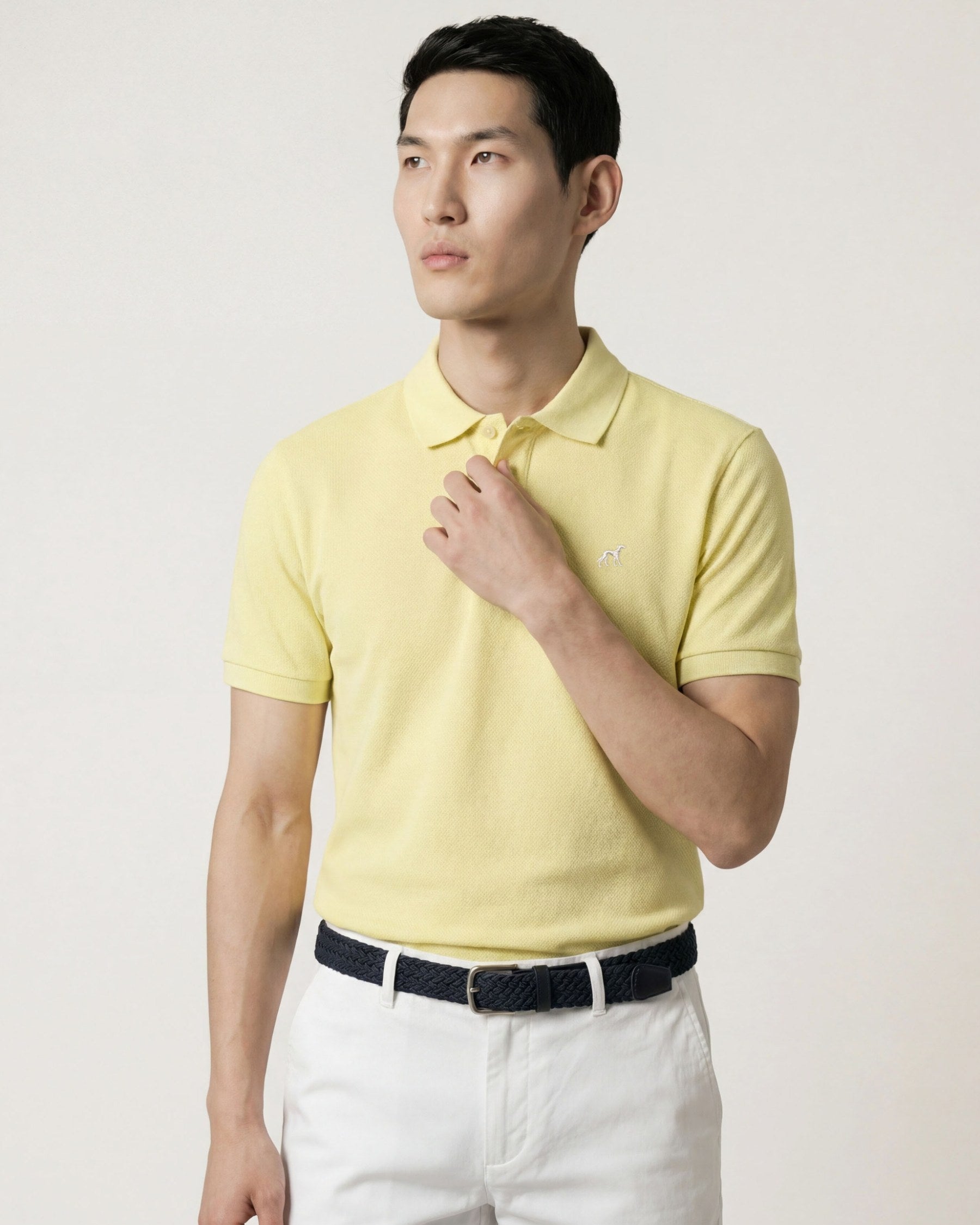 Light Yellow (AI)
