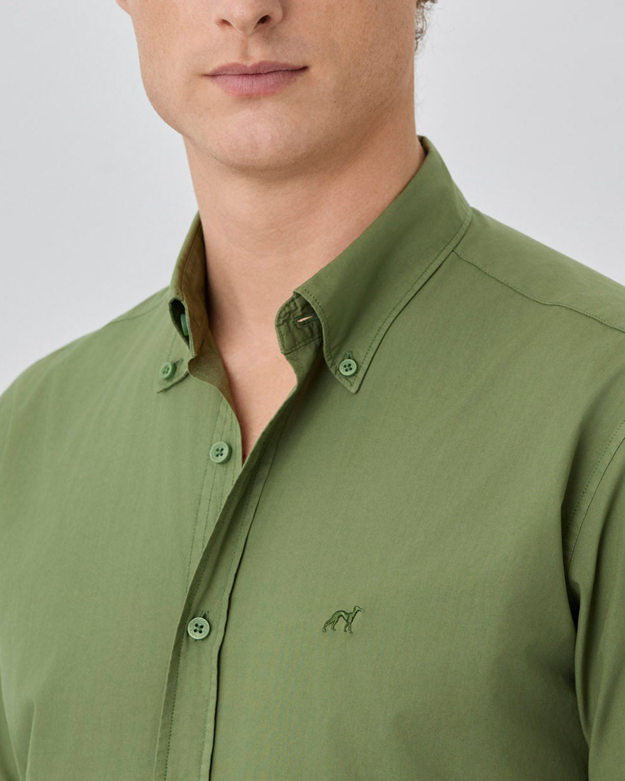 Olive Green