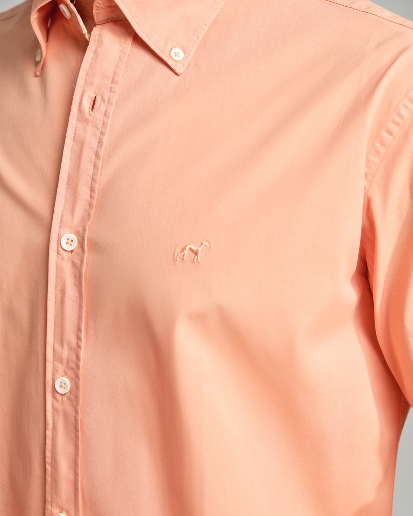 Light Orange