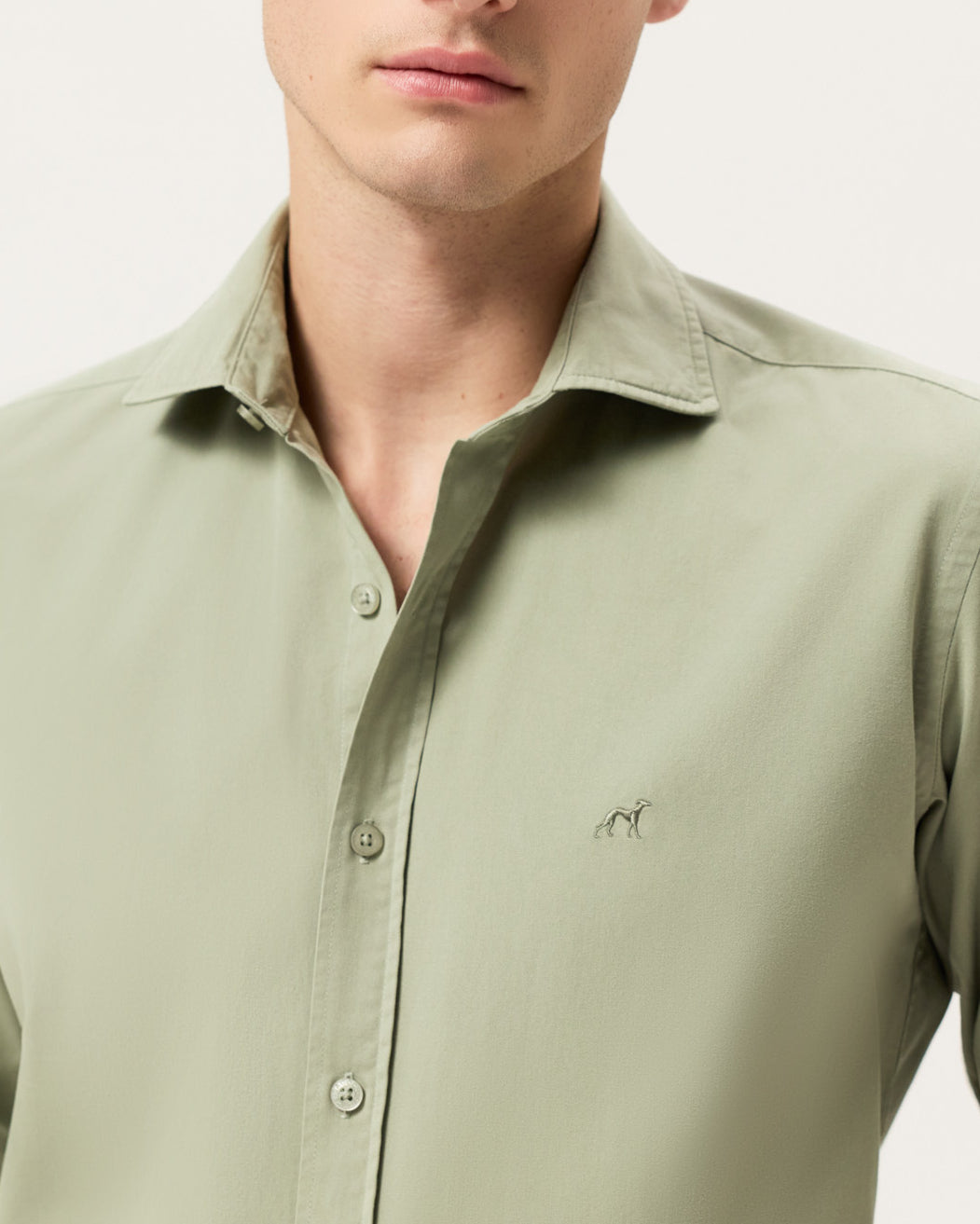 Light Green