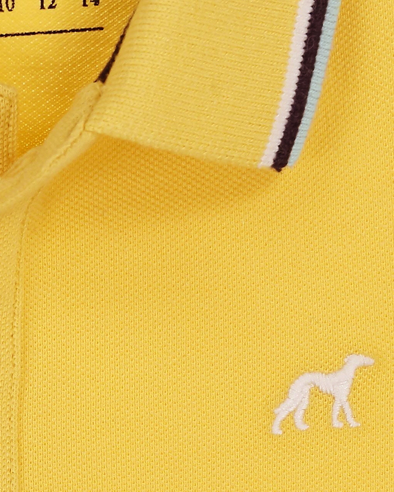 Light Yellow