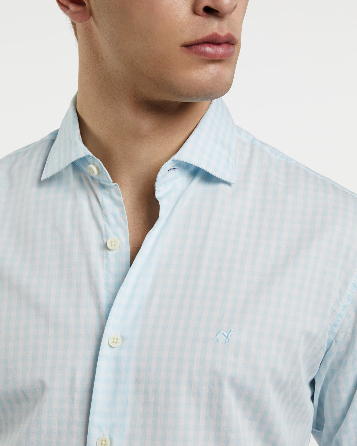 Light Turquoise