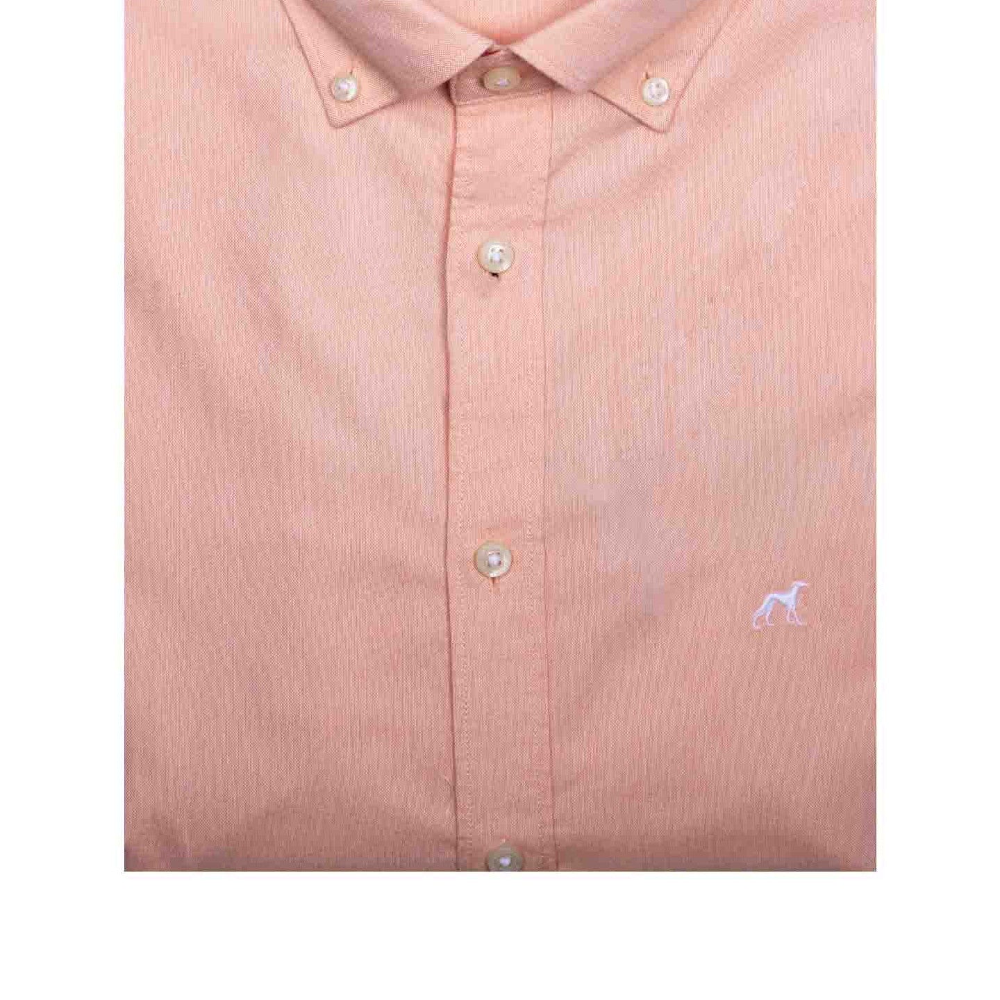 Light Orange
