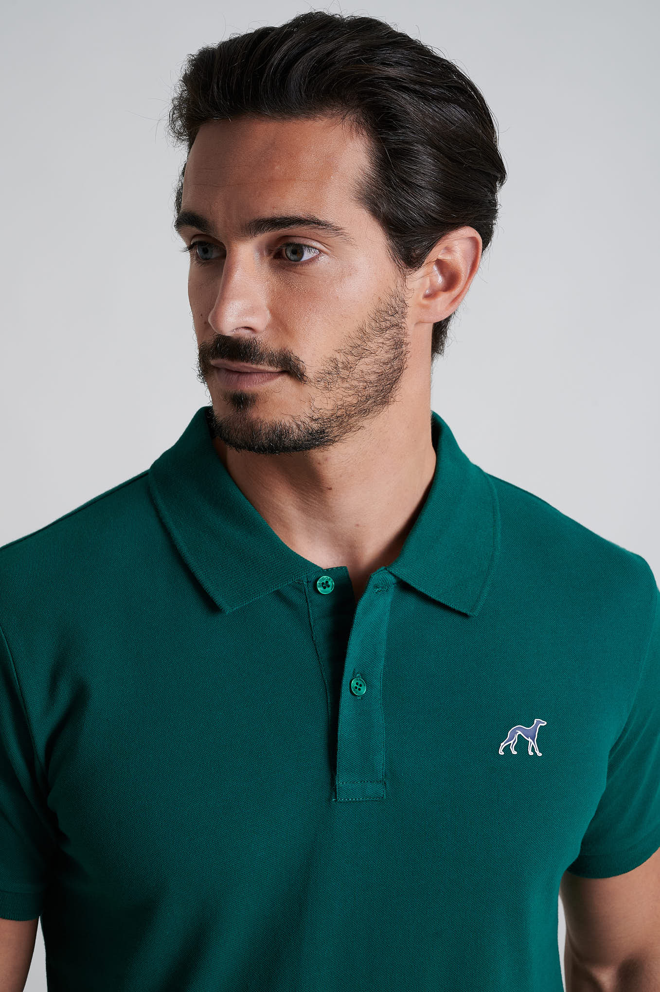 Dark Green