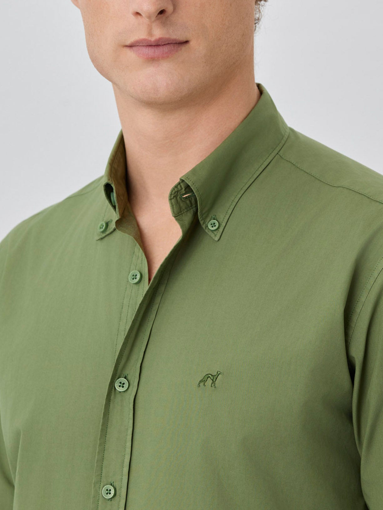 Olive Green