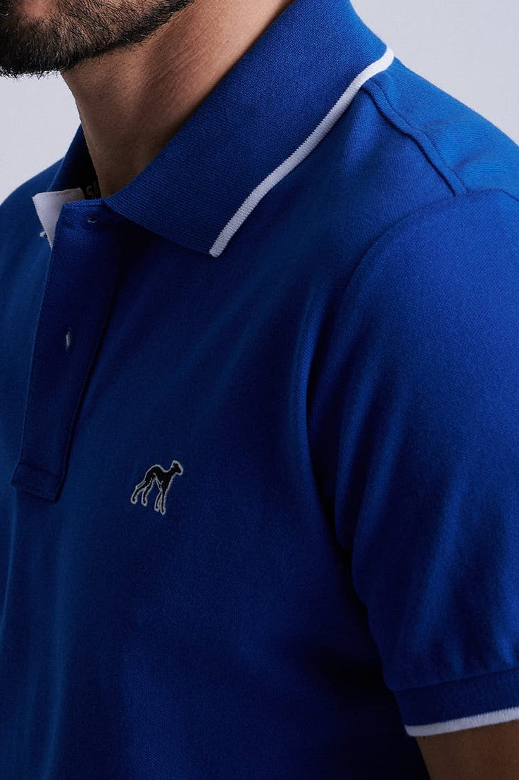 Royal Blue
